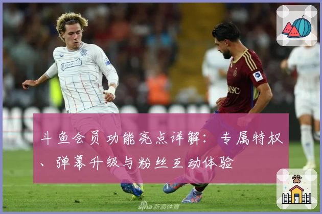 斗鱼会员功能亮点详解：专属特权、弹幕升级与粉丝互动体验