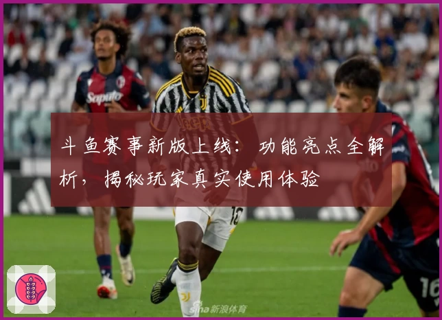 斗鱼赛事新版上线:功能亮点全解析,揭秘玩家真实使用体验