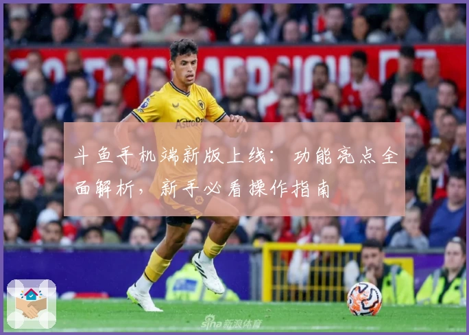 斗鱼手机端新版上线:功能亮点全面解析,新手必看操作指南