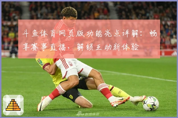 斗鱼体育网页版功能亮点详解：畅享赛事直播，解锁互动新体验