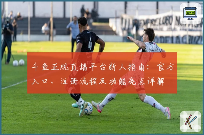 斗鱼正规直播平台新人指南：官方入口、注册流程及功能亮点详解