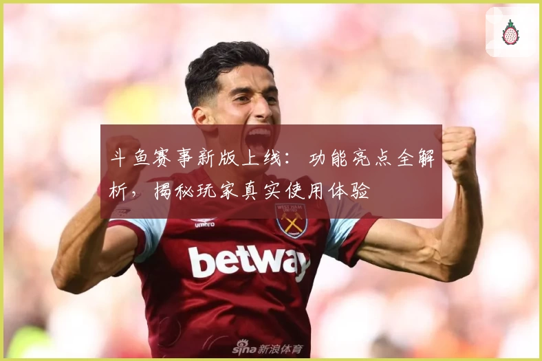 斗鱼赛事新版上线：功能亮点全解析，揭秘玩家真实使用体验