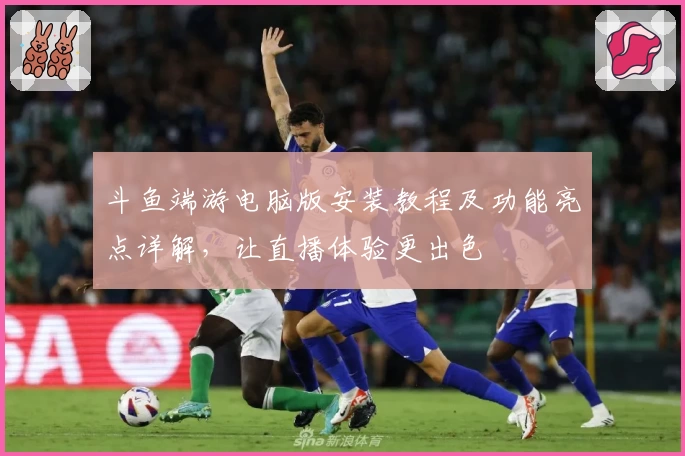 斗鱼端游电脑版安装教程及功能亮点详解，让直播体验更出色