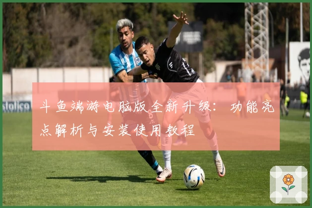 斗鱼端游电脑版全新升级：功能亮点解析与安装使用教程